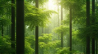 Beginner's Guide to Sustainable Living: Simple Swaps for a Greener Life