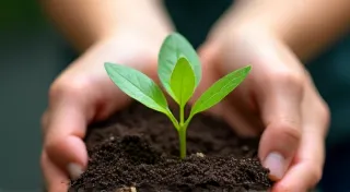 Conscious Consumption: Making Ethical Purchasing Decisions