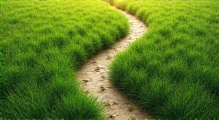 Reducing Your Carbon Footprint: Actionable Steps for a Greener Future